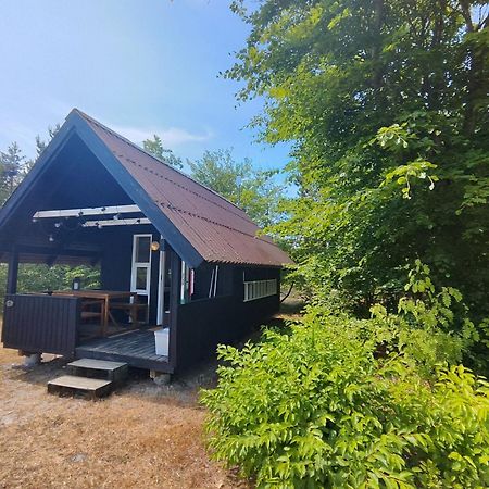 Tranum Klit Camping Og Hytteudlejning Brovst Eksteriør billede